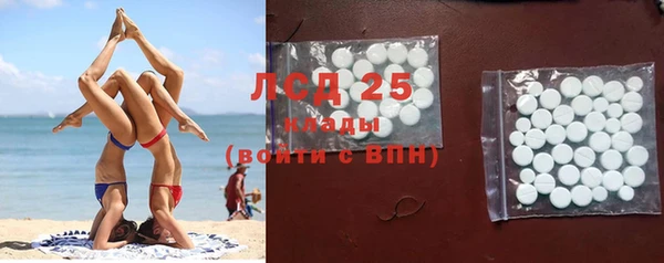твердый Лагань