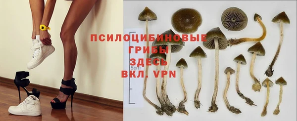 ECSTASY Лиски