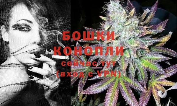 сатива Липки