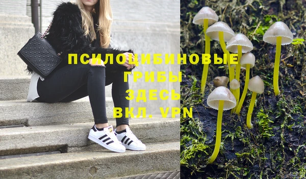 сатива Липки