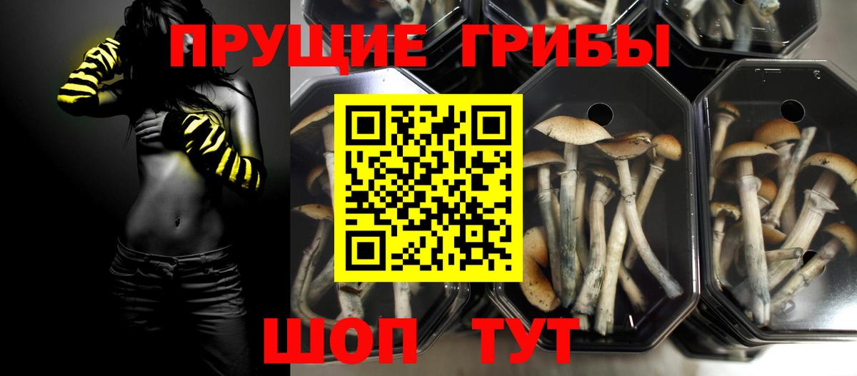 Галлюциногенные грибы ЛСД  Вход с VPN  Урус-Мартан 